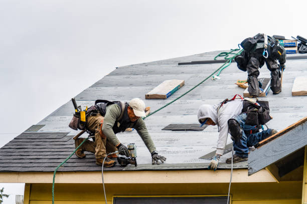 Professional Gutter Installation technician working in Wiota, IA
